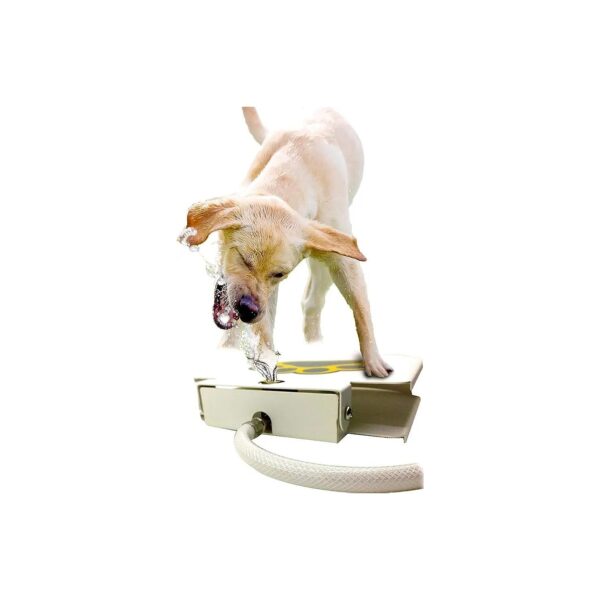 Cool Dog Water Fountain with Spring-Activated Steps and Durable Hose