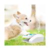 Cool Summer Water Fountain for Dogs with Paw Activated Water Dispenser and Water Spray