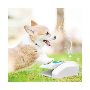 Cool Summer Water Fountain for Dogs with Paw Activated Water Dispenser and Water Spray