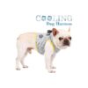 Cooling Dog Apparel for Small Medium Large Dogs