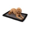 Cooling Dog Mat for Medium to Large Breeds with Easy to Clean and Portable Design