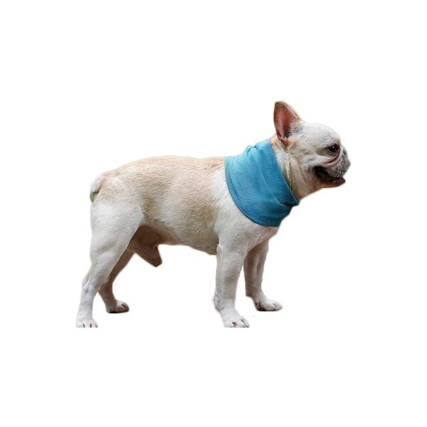 Cooling Dog Scarf for Bulldogs Large Size