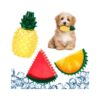 Cooling Dog Teething Toys with Fruit Shape and S