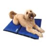 Cooling Hydro Mat for Large Dogs, Triple Layer Design, 2-Pack, Veterinarian Approved