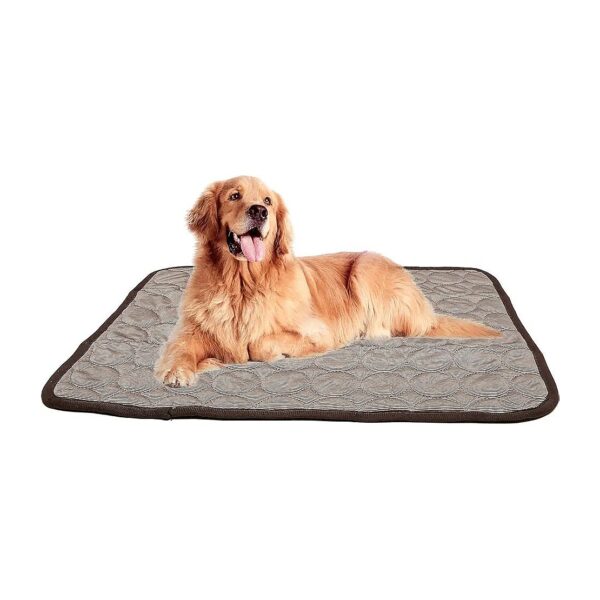 Cooling and Comfortable Sleeping Pad for Small Breed Dogs and Cats