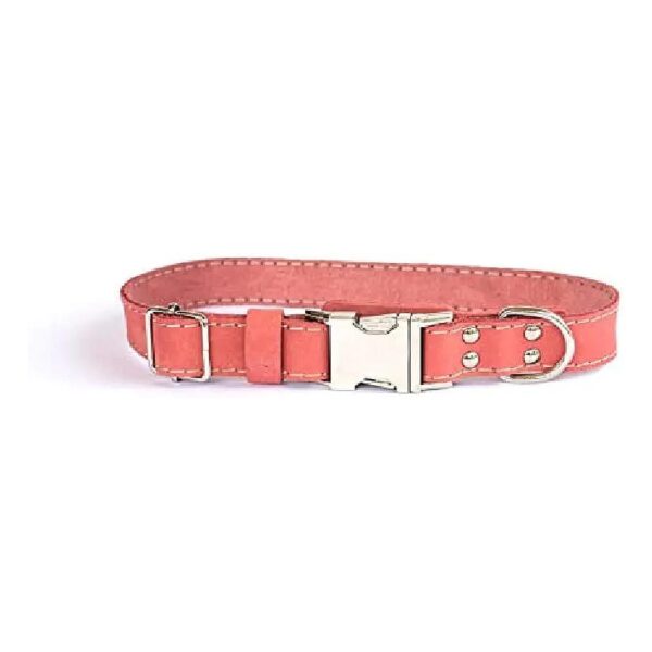 Coral Leather Dog Collar with Easy Open Buckle and Extra Blocking Leather