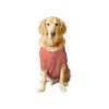 Cotton Dog T-Shirt for Medium Size Dogs with Crew Neck and Half Sleeves