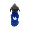 Cotton Fleece Dog Sweatshirt featuring Kentucky Wildcats Logo