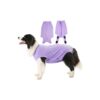 Cotton Striped Recovery Suit for Female Dogs Spay Surgery Post-Operative Care Medium