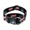 Country Brook-Style Adjustable Martingale Dog Collar for Medium and Large Breeds