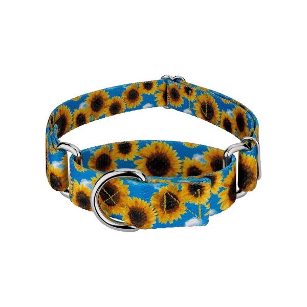 CountryStyle Polyweb Martingale Dog Collar with Sunflower Design for Medium Size Breeds