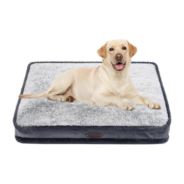 Cozy Medium Dog Beds with Removable Covers and Anti-Slip Beads for Small and Medium Dogs