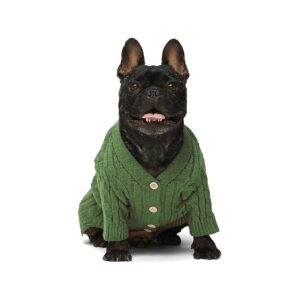 Cozy Winter Clothes for Small Dogs and Cats in Olive Green