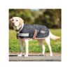 Cozy and Comfortable Dog Coat for Active Pets with 100g Polyfill Insulation