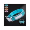 Cozy and Safe Reflective Dog Collar with Neoprene Padding and Reflectech Piping