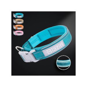 Cozy and Safe Reflective Dog Collar with Neoprene Padding and Reflectech Piping