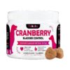 Cranberry and Antioxidant-Rich Soft Chews for Canine Bladder and Kidney Health