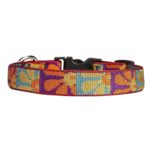 Crazy Daisy Nylon Floral Patterned Dog Collar with Size Adjustment from 13-22 Inches