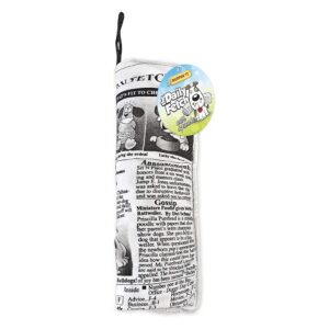 Crinkle Stuffed Daily Fetch Doggy Newspaper Dog Toy with Squeaker