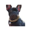 Cuban Link Gold Chain Dog Collar for Puppy Fashion Jewelry Accessories with Snap Closure