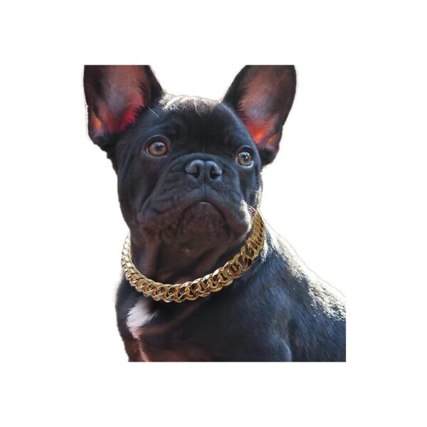 Cuban Link Gold Chain Dog Collar for Puppy Fashion Jewelry Accessories with Snap Closure