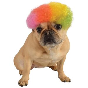 Custom Dog Wig for Medium to Large Breeds with Rainbows and Fun Colors