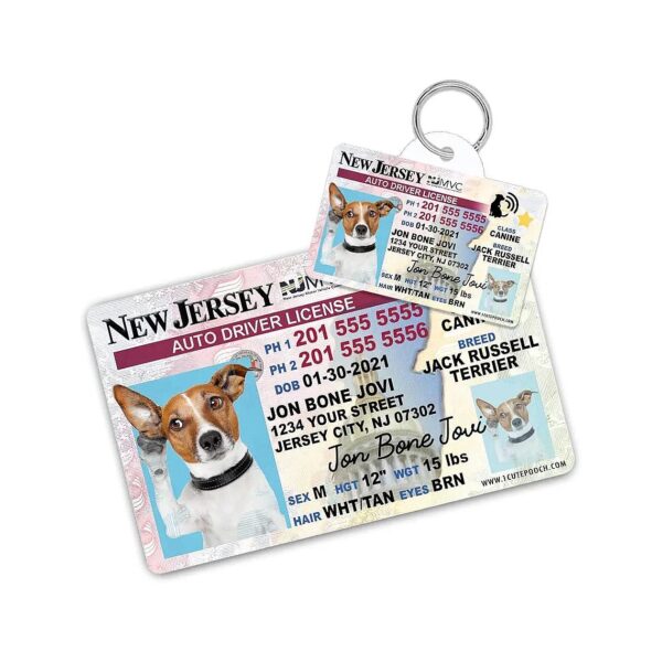 Custom Pet ID Card and Aluminum Tag Set for Dogs and Cats with Personalized Details