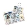 Custom Pet ID Tag and Driver License Card for Dogs and Cats in Pennsylvania Style