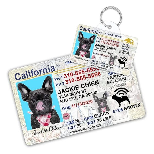 Custom Pet ID Tags for Dogs and Cats with Personalized Wallet Card