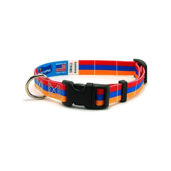 Customary Armenia Flag Dog Collar with Martingale Design for Medium Dogs Made in USA