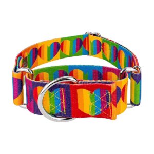 Customizable Colors in Rainbow Hearts Design on Adjustable Dog Collar