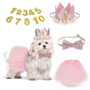 Customizable Dog Birthday Hat with Number Stickers for Pet Costume Parties