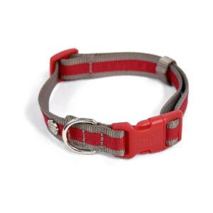 Customizable Dog Collar with Contoured Buckle, Grosgrain Overlay, and Adjustable Sizes