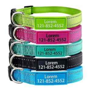 Customizable Dog Collar with Reflective Nylon and Secure Buckle