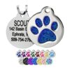 Customizable Glitter Blue Stainless Steel Pet Tag with Paw Print Design for Dogs and Cats