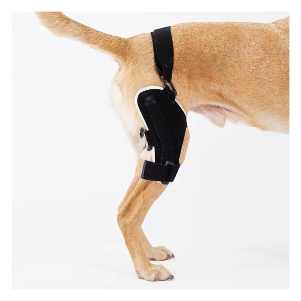 Customizable Neoprene Kneebrace for Dogs with Flexible Support