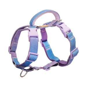 Customizable No Pull Dog Harness for Polite Walking and Training