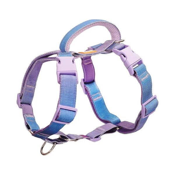 Customizable No Pull Dog Harness for Polite Walking and Training