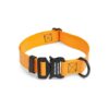 Customizable Orange Dog Collars for Small Medium Large or XL Dogs