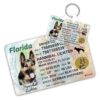 Customizable Pet ID Tag and Wallet Card for Cats and Small Dogs