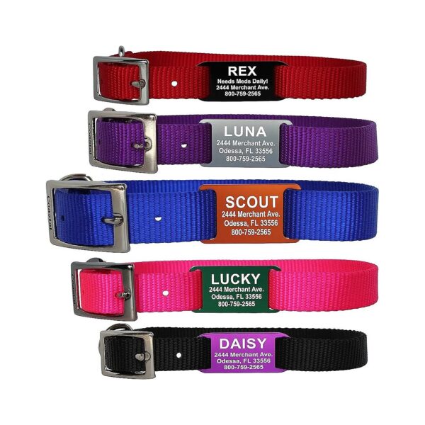 Customizable Pet ID Tags with Engraved Text and Durable Nylon Collars