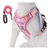 Customizable Soft Handle Dog Harness with No Pull or Choking Features