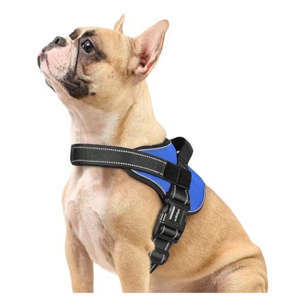 Customizable and Adjustable Small Size Dog Harness with Molle System and Breathable Mesh