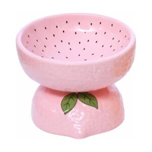 Customized Cat Bowl for Indoor Cats with Whisker Friendly Wide Shallow Design