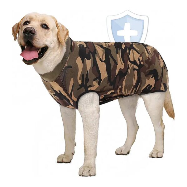 Customized Dog Recovery Suit for Large and Medium Breeds