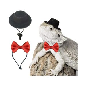 Cute Bearded Dragon Costume Hat and Bowtie for Small Animal Reptiles Birthday Party