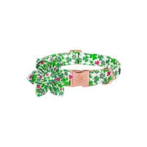 Cute Detachable Flower Dog Collar with Lucky Clover Pattern for Small Small Breed Dogs