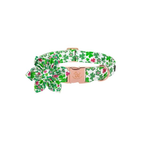 Cute Detachable Flower Dog Collar with Lucky Clover Pattern for Small Small Breed Dogs