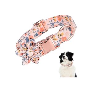 Cute Dog Collar with Buckle Closure for Small Medium Large Dogs Cats