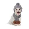 Cute Knitting Hat and Pom Pom Scarf for Small to Medium Dog and Big Cat Winter Fashion